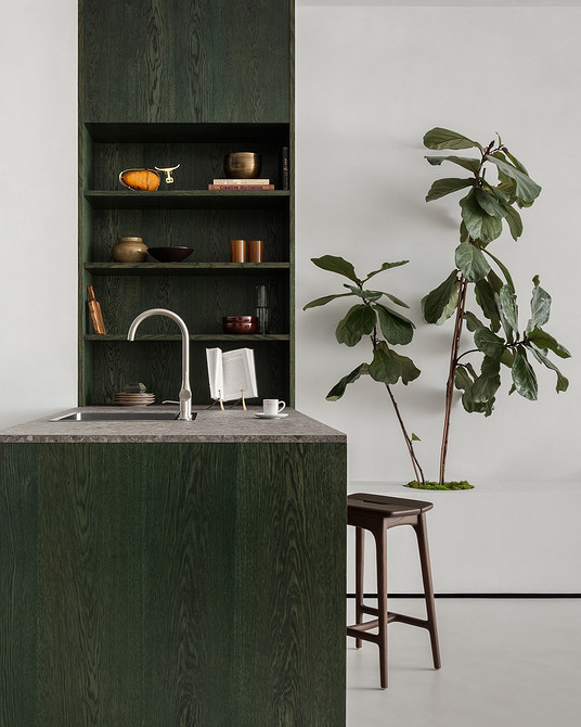 Дизайн интерьера кухни в зеленом цвете: красивые идеи и лучшие сочетания (77 фото)