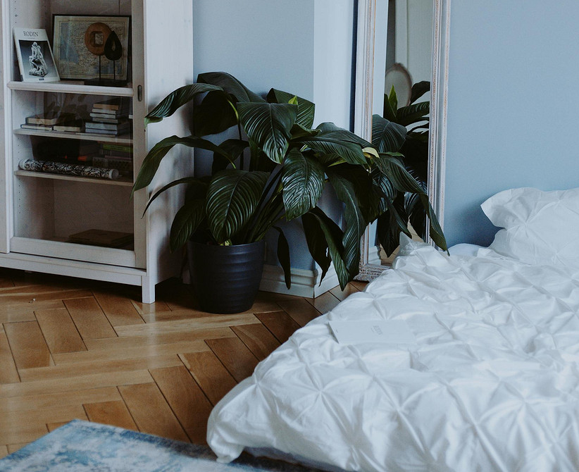 Виды паркета: популярные варианты, их характеристики и особенности