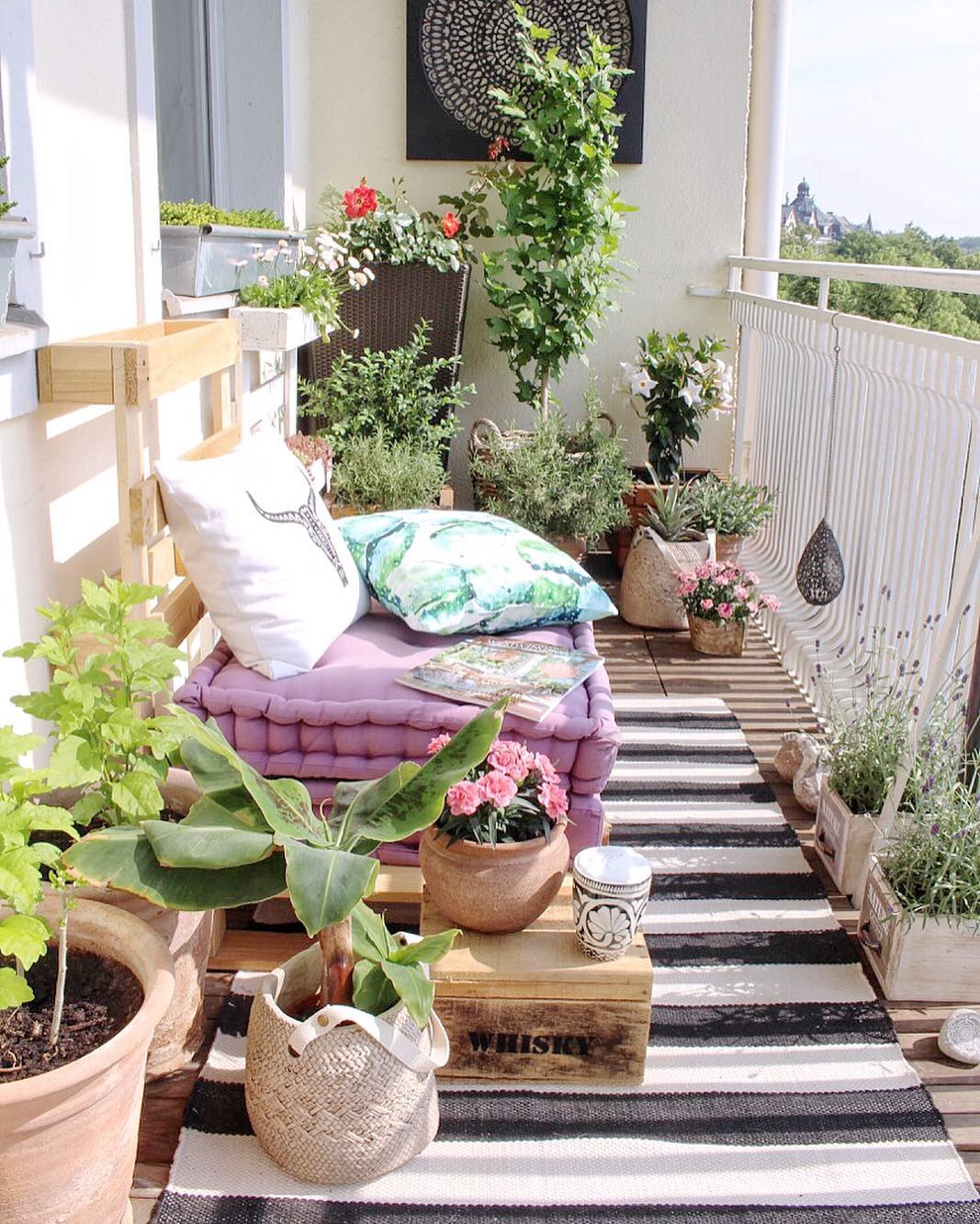 Мини-огород на городском балконе: фото