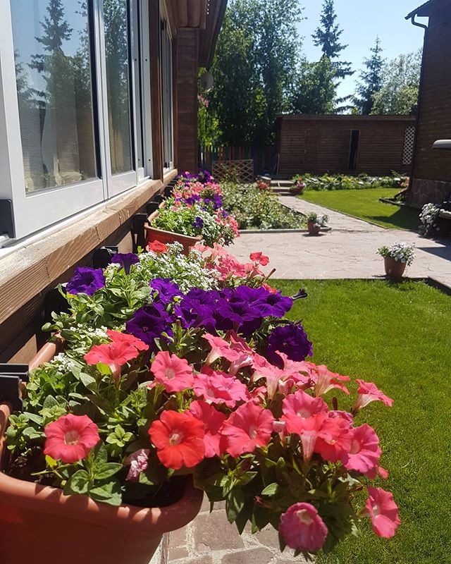 цветы love_flowers_on