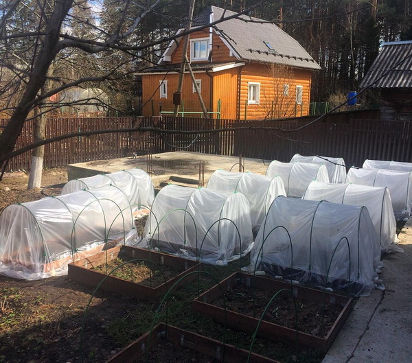 Дачные парники дачные парники