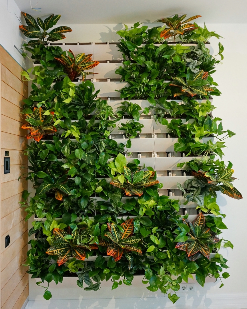 Вертикальное озеленение в интерьере своими руками: фото