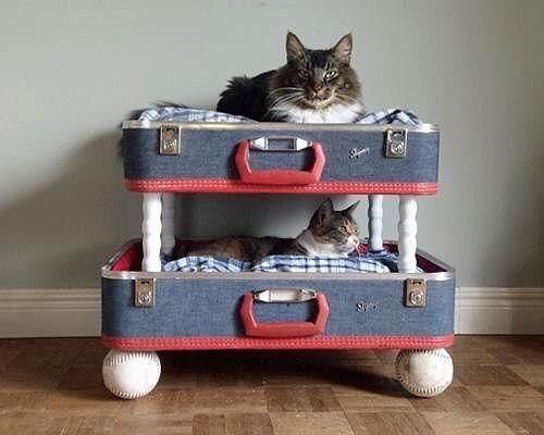 Дом из старого чемодана для кошки: фото